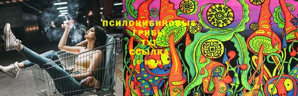 стафф Белокуриха