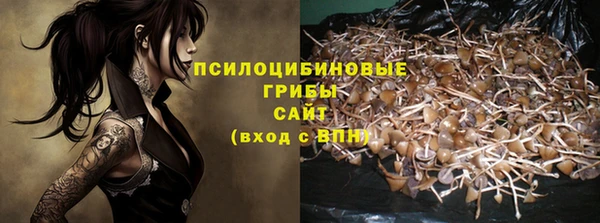 прущие крисы Беломорск