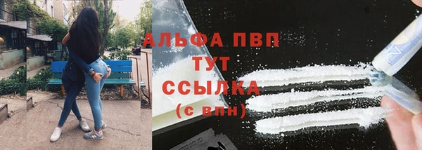 стафф Белокуриха