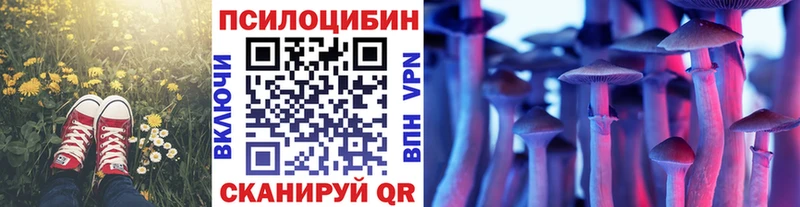 Псилоцибиновые грибы мухоморы  сайты даркнета телеграм  Ядрин 